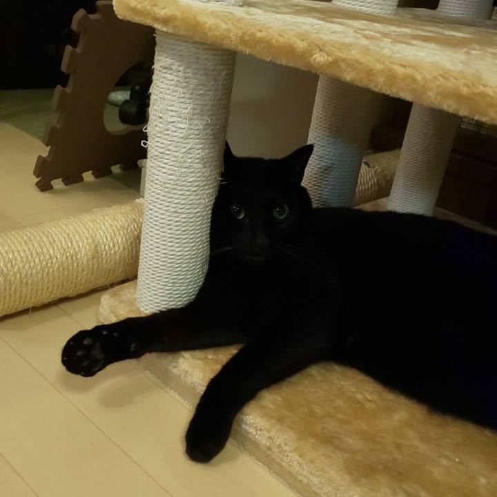 43f6277f ef08 47b4 8f64 a0b028de878c 1564697383443