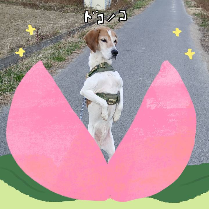 43f6454c 8eb3 45db bc4d 736e0f6984ba 1771910282757