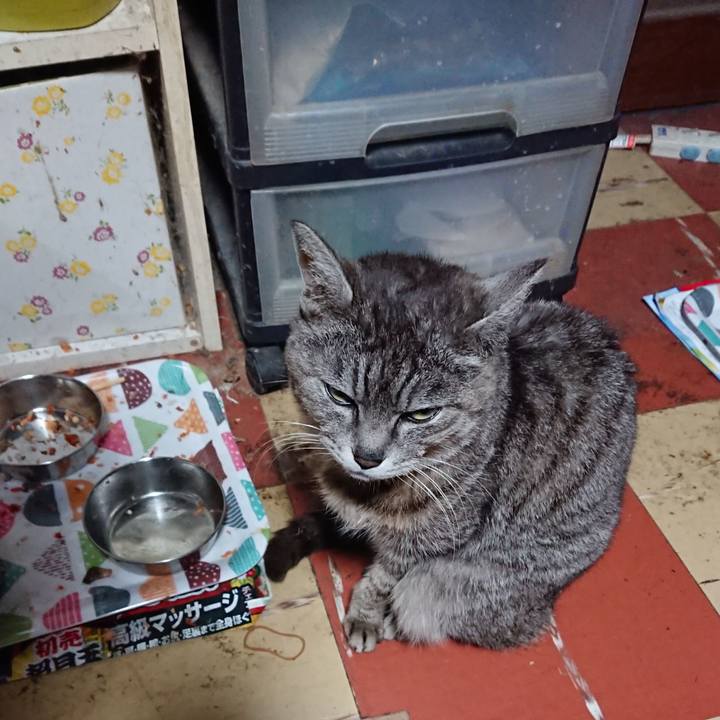 43f64ad9 7f1d 406e a36c d03195640292 1588624635415