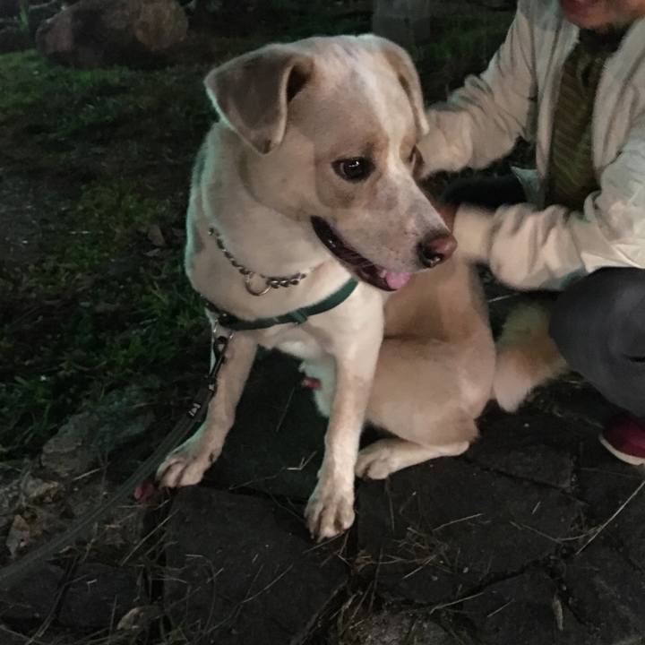 43f667b1 39e3 4286 b97d 89cfc41b1ee4 1508495833388