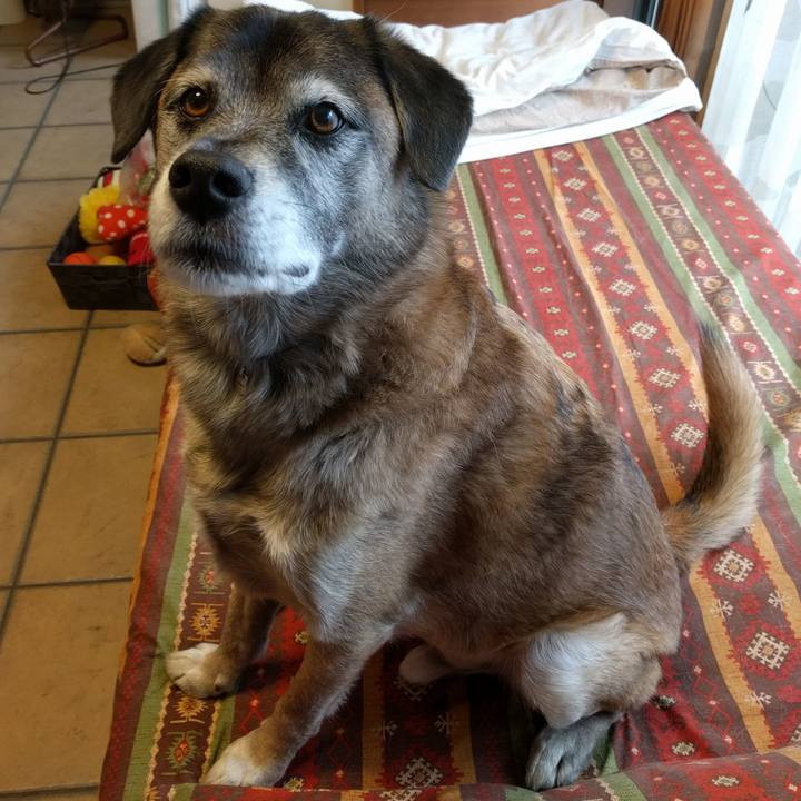 43f686db 7b45 40b6 b685 6edaf1dc9ba4 1513300789177