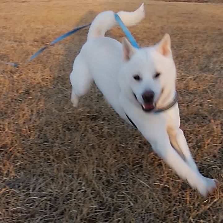 43f69b32 544d 4a42 ba49 686b59a91a09 1613138187780