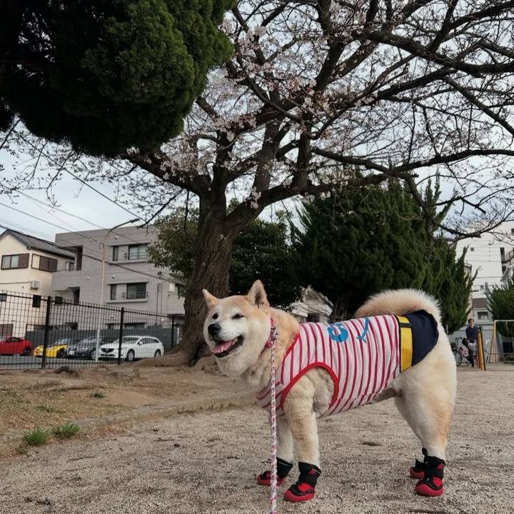 43f6a7ac c624 4658 826c 43c2480ca7f4 1758606219758