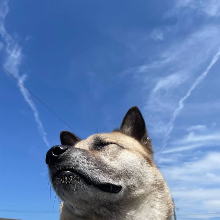 43f6ef5f 468b 477a 90ae dc1f281cdf7b 1716028448253