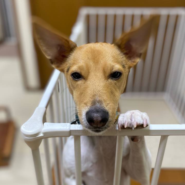 43f6f418 a7d3 4eb8 94f2 40772ca267fa 1766404001170