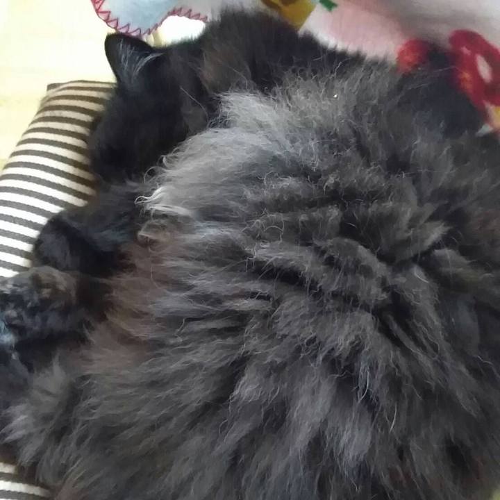 43f6fa25 e3f0 406a a228 f5af95a06a66 1525407017717