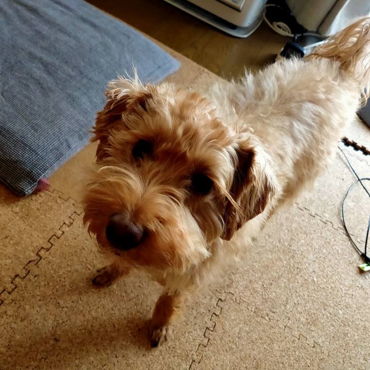 43f6fabf 121f 43c4 9e6b f0f980ecffd7 1610666852414