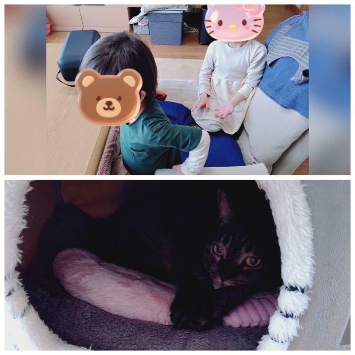 43f708af 9b51 423b 8c56 f5dda5e19694 1774752149885