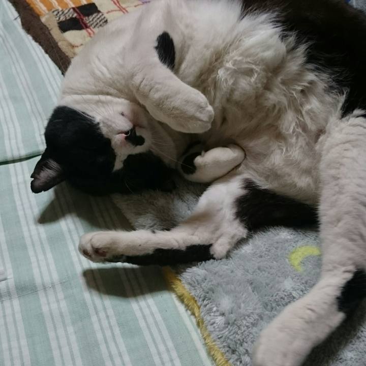 43f73e6a 3c9b 4c9a bc77 da96762e49dc 1510842185730