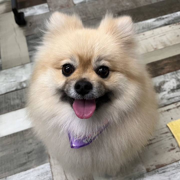 43f75038 3511 4bf1 97bc b22d9e488994 1680616006039