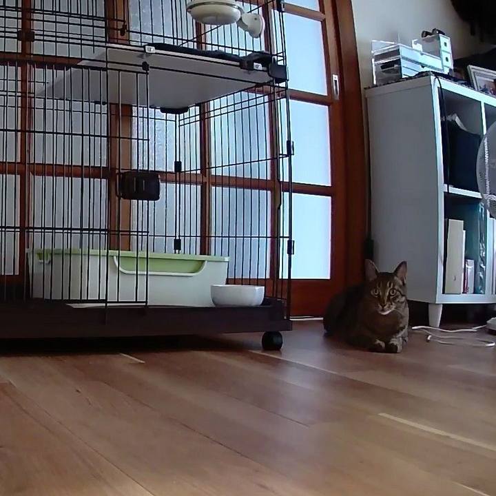 43f7717b ee04 47fb 8929 e67863e17595 1561591734984