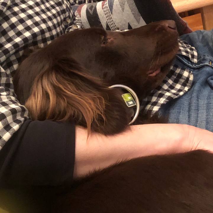 43f77b67 b23b 424e 8dd6 8bc8968ad688 1587769021839