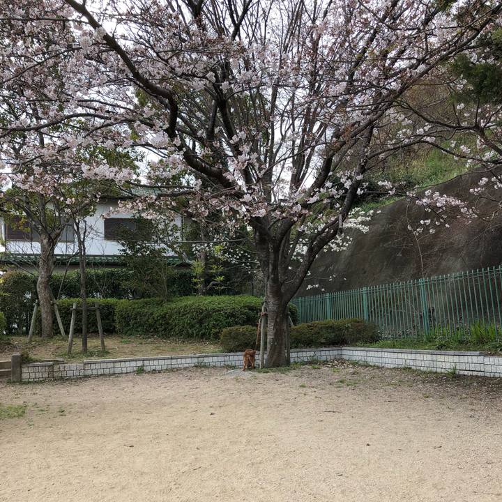 43f784e0 94fd 4ce3 9e77 1232a3cf3c20 1553985177098