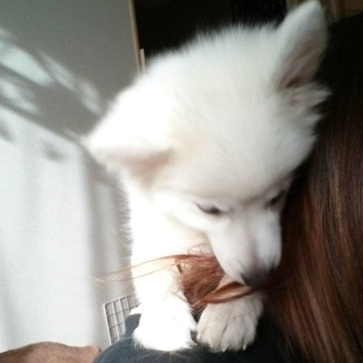 43f78fd5 ddf6 479b 830d 0f6fee837e57 1538550415478