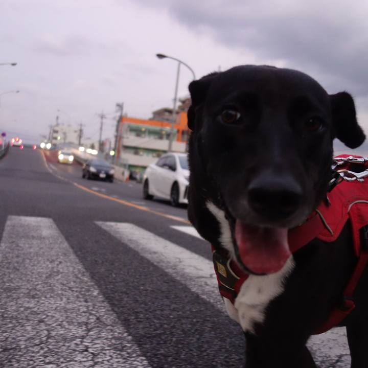 43f7b987 d7ed 486b bb78 7e12148a19fa 1600166125398