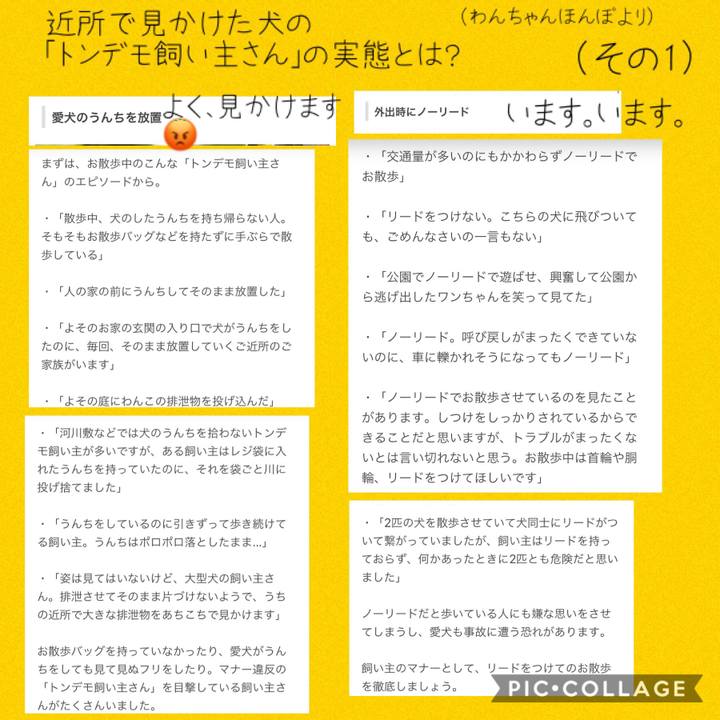 43f7bb71 05e1 48d6 b602 127019e545db 1541247236995