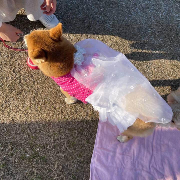 43f7d42d 4cd1 450b af3d 551faaa4704f 1677837146404