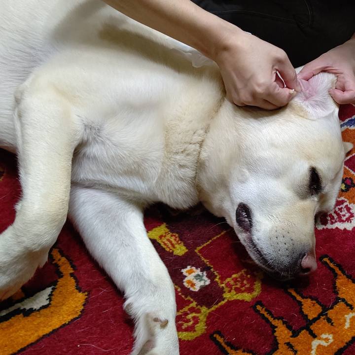 43f7dd49 915d 4da3 ac70 ee01881ce4e3 1624102067157