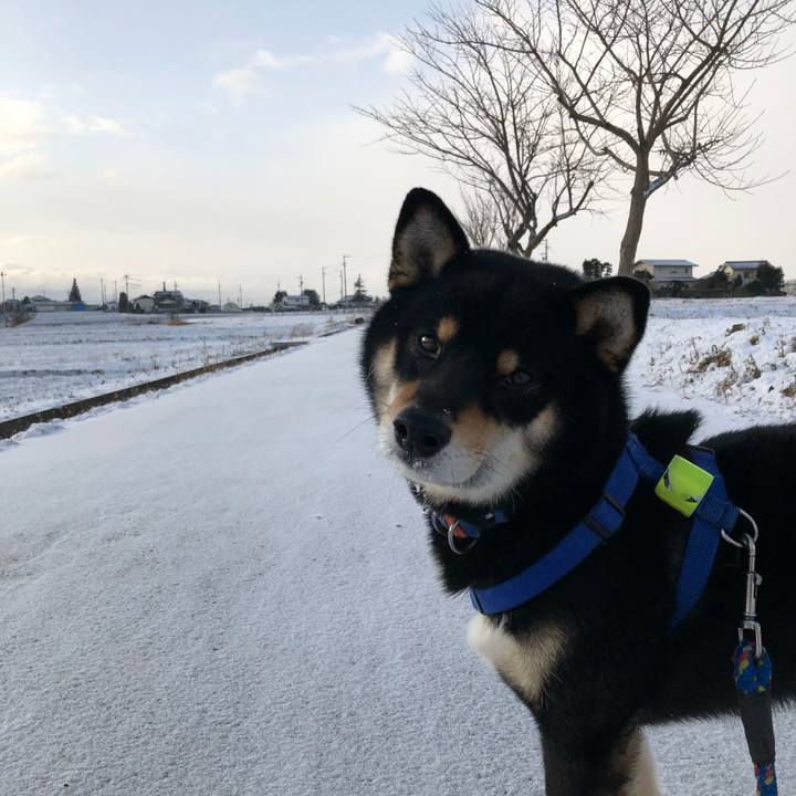 43f81ae6 604b 4465 aa27 077ee4c01e50 1549889912969