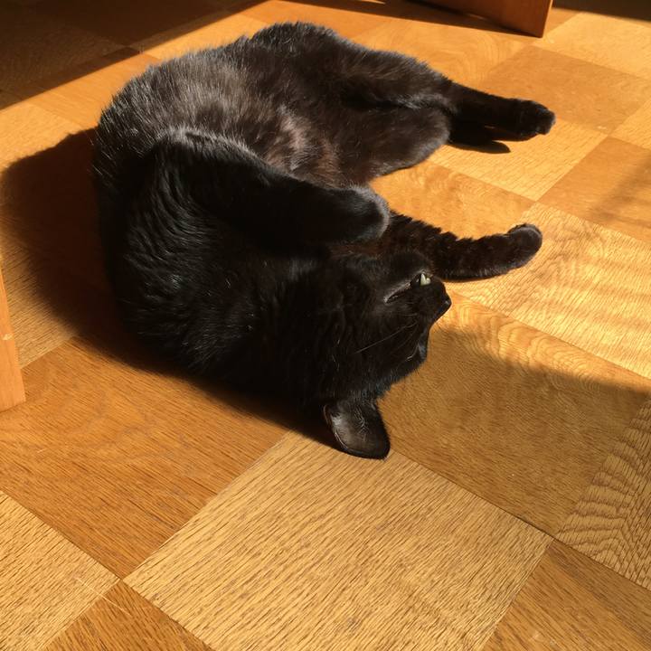 43f89c9f 9ee4 4bd5 812b accb3ccb26ec 1533104757082