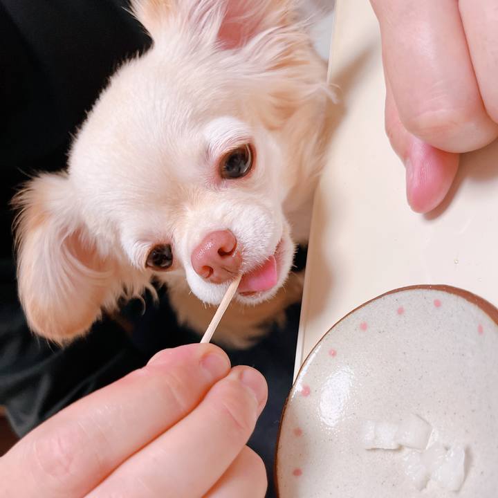 43f8a6fb e9f7 463d b373 6627017de37f 1661345830453