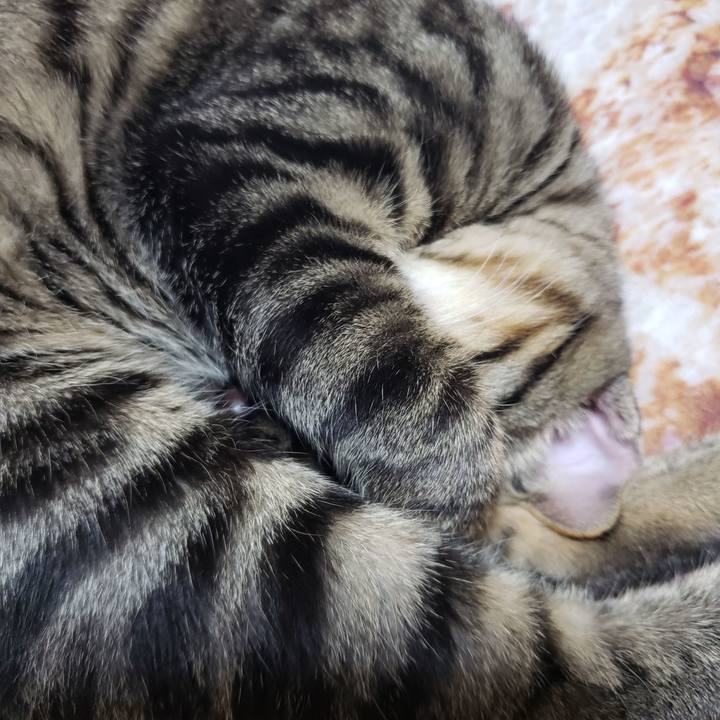 43f8faa1 824b 486f bbcc 9d5b6d1e7b6a 1542712096784