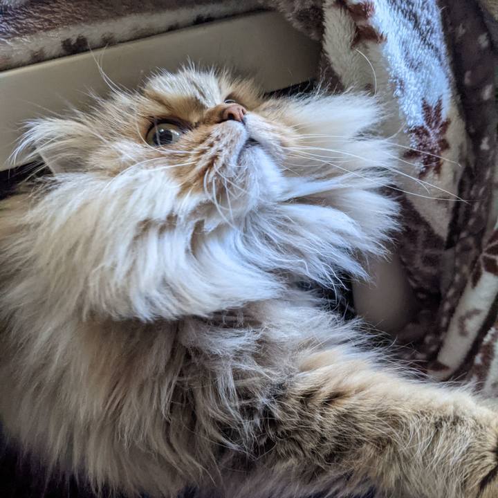 43f9112d bcad 4e25 83c9 9c28d487ff71 1640570977630