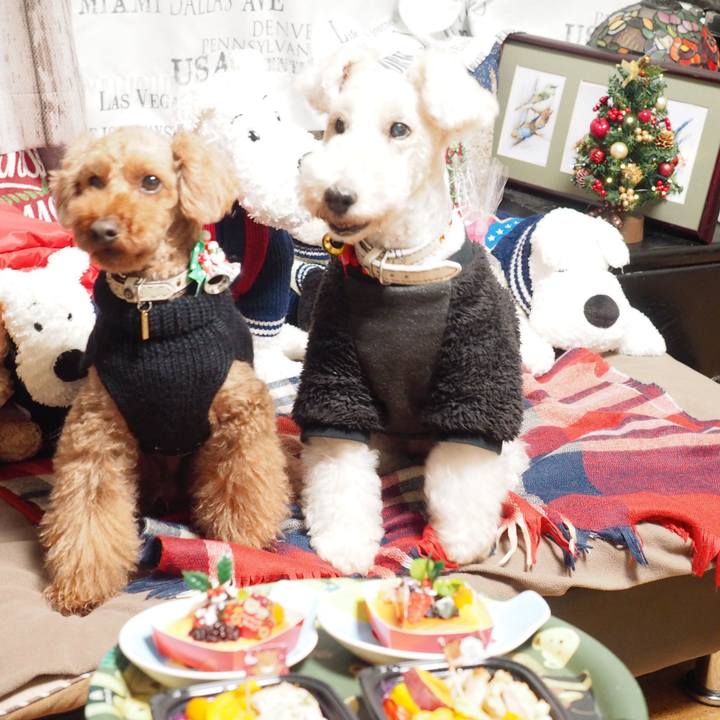 43f93174 ea08 48b9 b6e9 400033708fb4 1577191357149