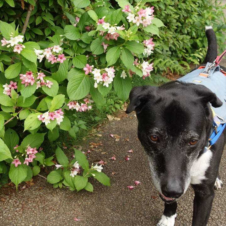 43f93649 94a8 4ae8 abf4 48851e538bd1 1747960141536