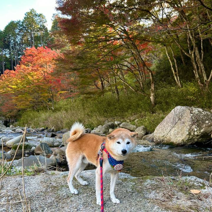 43f947ff 580c 4646 a8e7 949501f05bfe 1731920083292