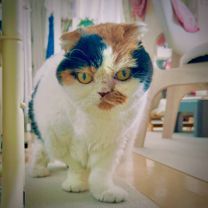 43f95128 8ab5 4d1b bf8b 1ec081bcc4de 1759299343884