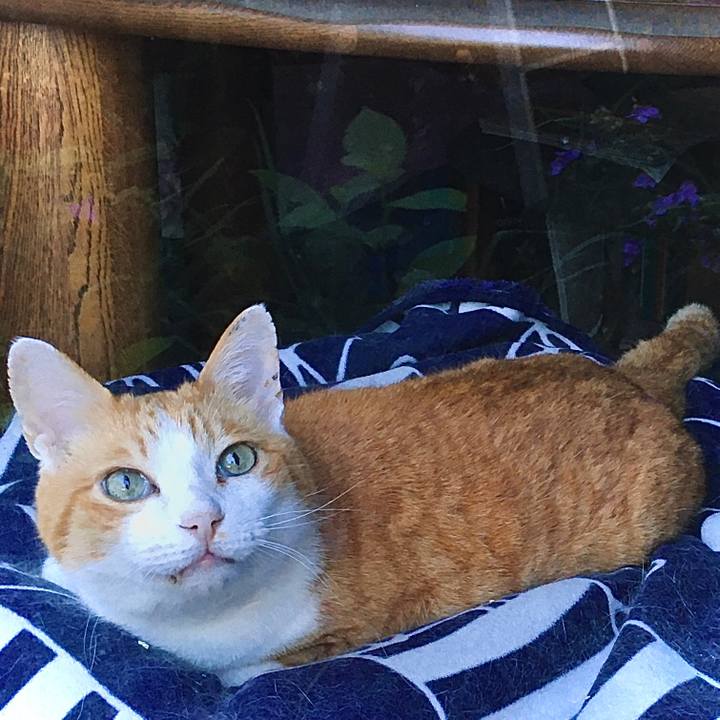 43f99bd7 3058 4576 aaec 302f3603b314 1593493038699