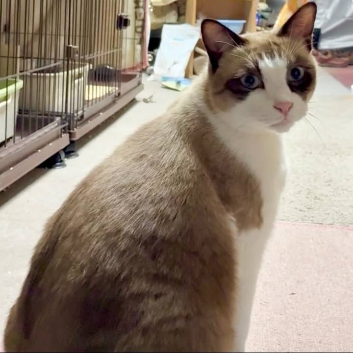 43f9aee2 709b 496c b3c5 da4eb8175530 1761134628395