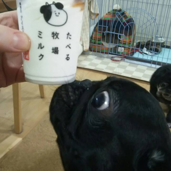 43f9b5a4 43f4 479f ba86 bf7aad441170 1521023710181