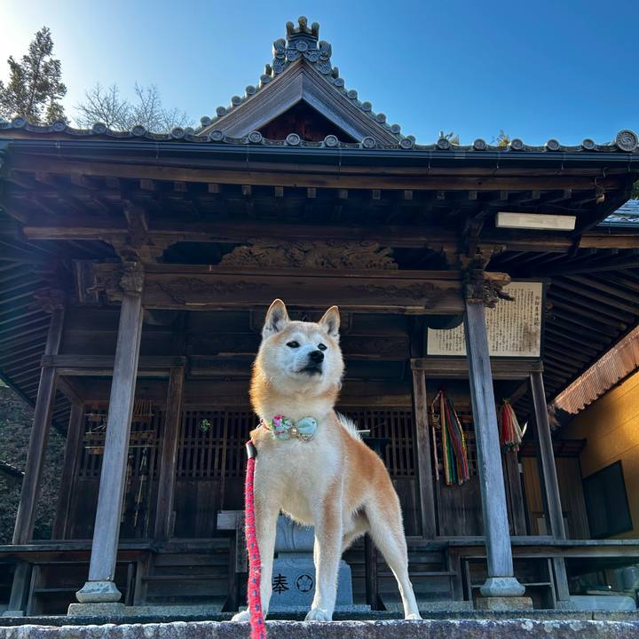 43f9b9b7 5071 4ddd 8a8b 81858d308ab1 1773141833877