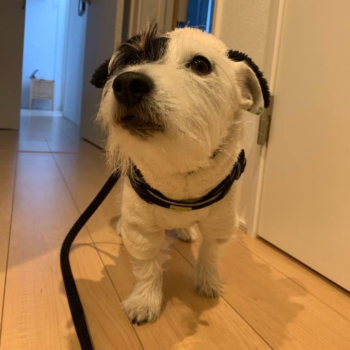 43fa1c77 346f 4325 aebf 6d0dbc1b6bef 1671626045019