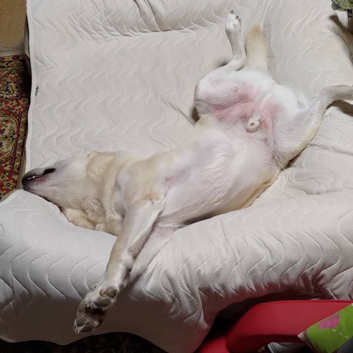 43fa618a ff03 4820 8e5c 75abf71fb756 1662826124932