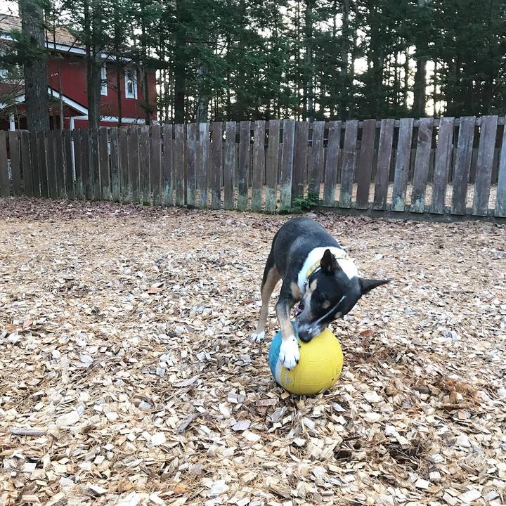 43fa9a81 cbac 4cf4 8979 16dbfa875ec6 1510906436702