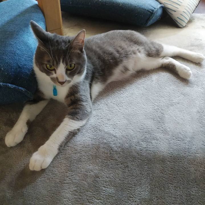 43fab525 bba4 467f be3c e17fee0221a4 1591750818962