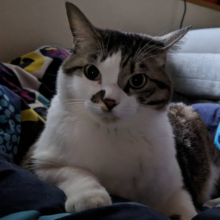 43fb0a7d d38f 4410 acff 701db1a9cb56 1707012615830