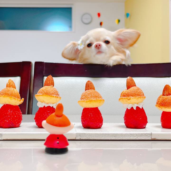 43fb4558 9d95 4298 97cb 15fa9a7d7082 1649293628797