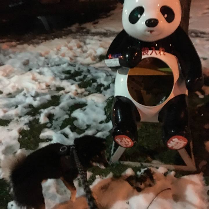 43fb6b0c c67f 4725 aa21 f9fd9dceb1e3 1511399101963