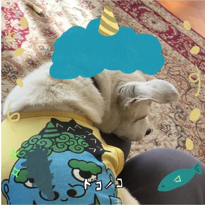 43fb7160 ace4 429f 9a31 980b707ef7c3 1770033573083