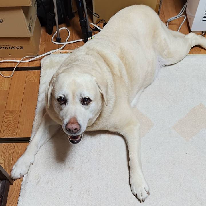 43fbf246 e88a 4ae6 a4a4 a88c55ec96f3 1774011276807