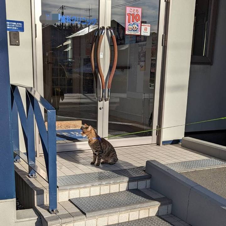 43fc50e1 c0c0 434c b523 d59848e233cb 1679235696099