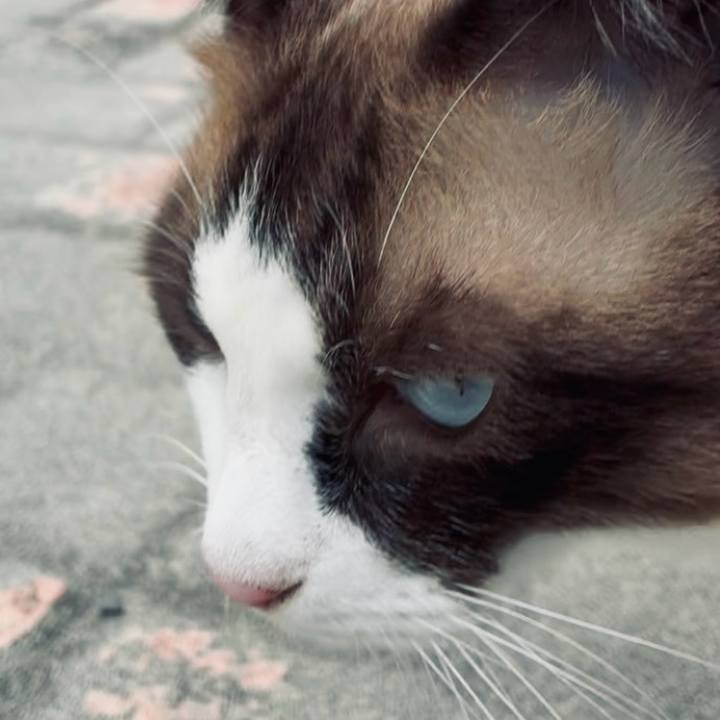 43fc729d 5cc2 4b75 87eb 51aadce35a6b 1757210014779