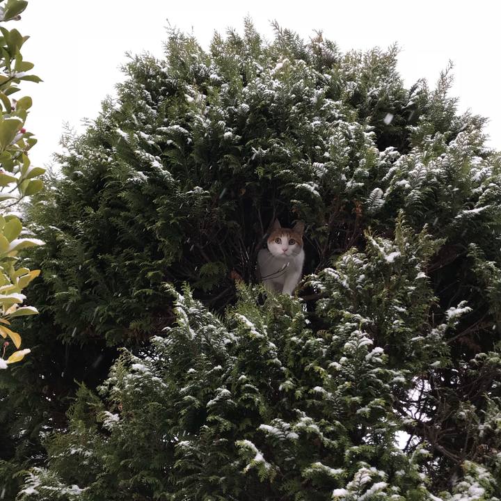 43fc9b45 de95 4e85 819e 7c3f7f644e63 1512785425685