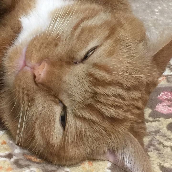 43fcb86d 7897 4442 b3b6 b692da7bb4e9 1563592429567