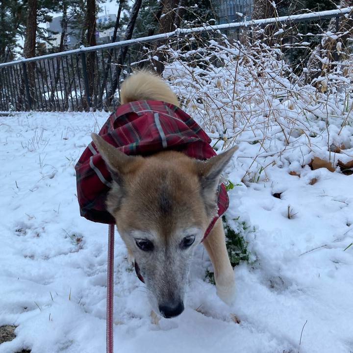 43fcd55a 8fbb 4f9c 90ce 0f7389e858b8 1770539086421