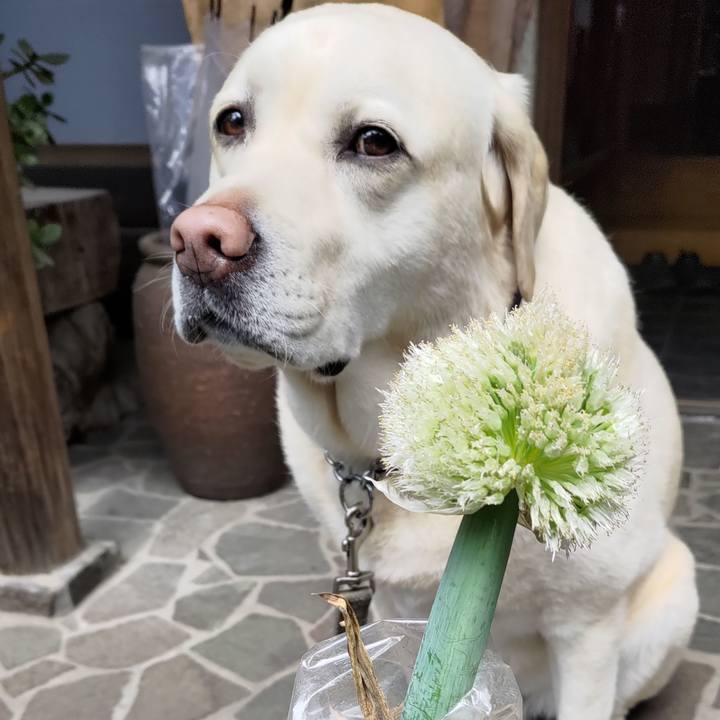 43fd0535 daa8 4df6 86f3 63319c289cad 1651282478653